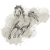 Wild horse