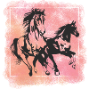 Chevaux sauvages