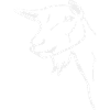 Ziege 2