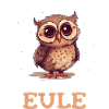 Night Owl, Owl, Owl, Bird