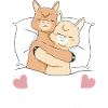 Alpaca Llama Alpacas Animal
