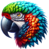 Parrot
