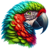 Parrot