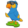 Parrot Sunglasses