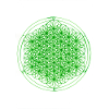 Lotus God Flower