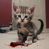 murder kitten