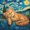 Chat, motif chat, cadeau