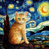 Chat, motif chat, cadeau