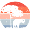 Éléphant Faune