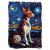 Podenco Starry Night