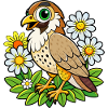 A nice falcon