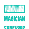 Multimedia Artist