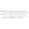 Schweizer Städte Delemont