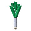 Embroidered leeks