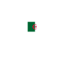 Algiers Algeria Algerian Flag Algerian