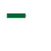 Alger Algérie Drapeau Algérien Algérien