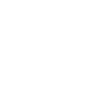 Berlin Bear