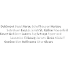 Schweizer Städte Schaffhausen