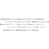 Schweizer Städte Bellizona