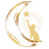 Cat Moon Star Cat Lover