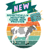 genetically modified cows