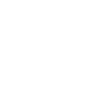 Bridemaid est. 2024