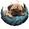 Sleeping pug dog puppy