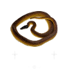 Weißlippige Python Moderner Reptilienhalter