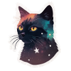 Chat dans les étoiles