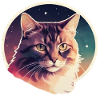 Chat dans les étoiles
