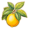 Lemon with leaf