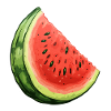 Melon in summer