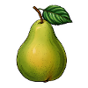 Pear with leaf