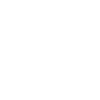 Ant Keeper Ant