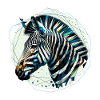 Zebra in polygon illustration