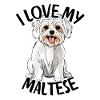 I Love My Maltese