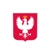 Team Dyngus Day Shirt