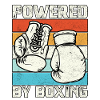 Propulsé par la boxe