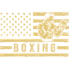 Boxe États-Unis