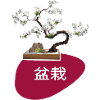 Bonsai Bonsai Tree Shohin