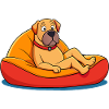 Relaxed Mastiff on Cushion Art