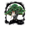 magical, forest, tree, girl, woman, sensual, nature