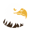 Eagle Bird