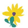 Cut-out flower (no background)