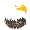 Eagle Bird