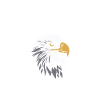 Citation humour Oiseau aigle
