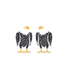 Citation humour Oiseau aigle