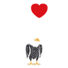 Citation humour Oiseau aigle