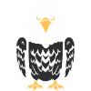 Eagle Bird