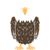Citation humour Oiseau aigle